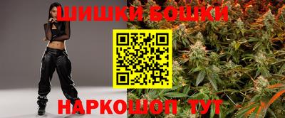 индика Будённовск