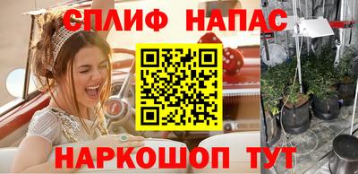 индика Будённовск