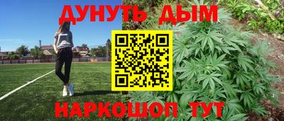 индика Будённовск