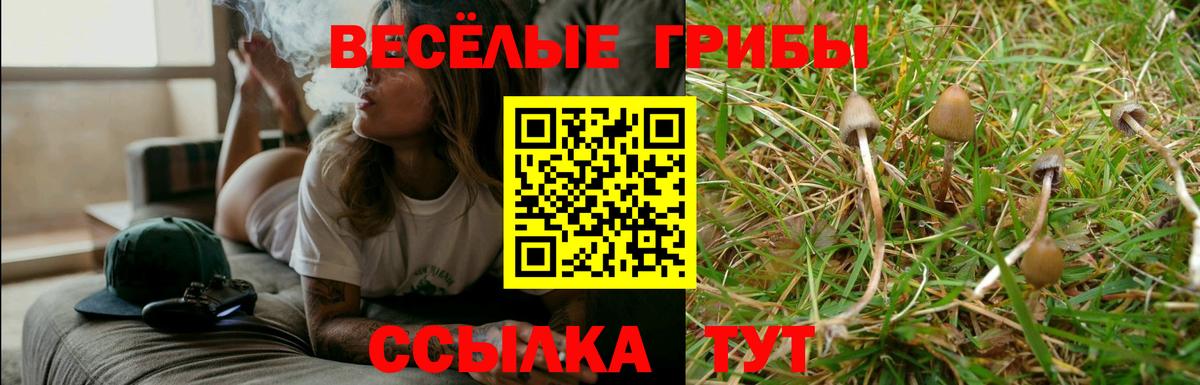 Псилоцибиновые грибы MAGIC MUSHROOMS  закладка  Лыткарино  Вход с VPN 